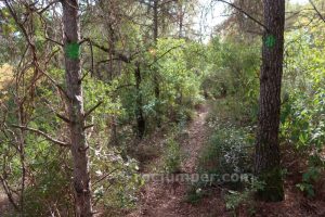 Marcas de pintura verde - Vía Ferrata Lo Pas de la Savina - Estopiñán del Castillo - RocJumper