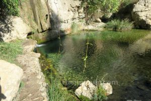 Poza - Barranco de la Magdalena - Castril - RocJumper