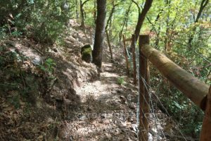 Vallas de madera - Vía Ferrata Roca Carrera - Barruera - RocJumper