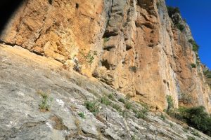 Placa - Barranco de la Magdalena - Castril - RocJumper