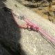 017 Barranco Magdalena Castril Rocjumper