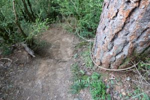 Bajada equipada - Vía Ferrata El Escuacho - Escarrilla - RocJumper