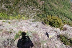 Hito de piedra - Vía Ferrata Roca Carrera - Barruera - RocJumper