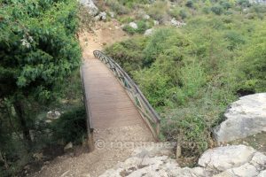 Puente - Barranco de Túnez - Castril - RocJumper