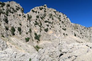 Vista del barranco - Cañón Peralejo - Castril - RocJumper
