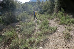 Pistas de Can Bernat - Barranco Esqueis de Ravionet - Sant Martí Sacalm - RocJumper