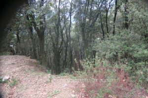 Dejar pista - Barranco Esqueis de Ravionet - Sant Martí Sacalm - RocJumper