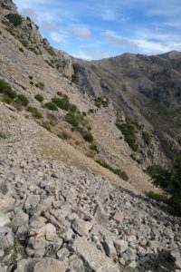 Tartera - Barranco de Túnez - Castril - RocJumper