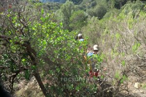 Haciendo el jabalí - Barranco Esqueis de Ravionet - Sant Martí Sacalm - RocJumper