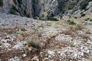 Campo através - Barranco de Túnez - Castril - RocJumper