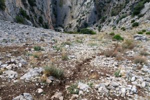 Campo através - Barranco de Túnez - Castril - RocJumper