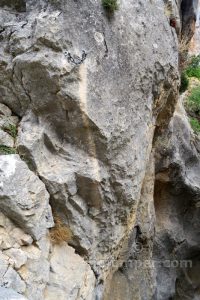 R4 - Barranco de Túnez - Castril - RocJumper