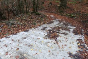 Pista - Torrent del Ginebrar - Sant Privat d'en Bas - RocJumper