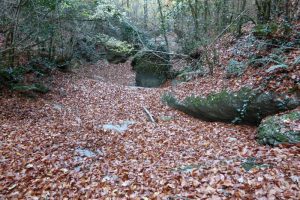 Continuación - Torrent del Ginebrar - Sant Privat d'en Bas - RocJumper