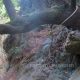 051 Barranco Esqueis Ravionet Sant Marti Sacalm Rocjumper