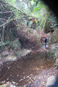 Tronco - Barranco Esqueis de Ravionet - Sant Martí Sacalm - RocJumper