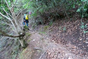 Salida - Barranco de Túnez - Castril - RocJumper