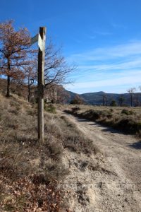 Palo indicador - Torrent de Casadevall - Salt de Ripol - Rupit - RocJumper