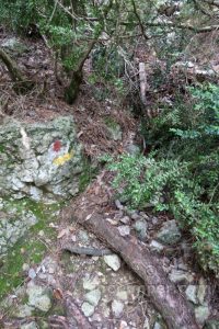 Sendero subida - Canal de Ase - Canal de les Peonies - Beceite - RocJumper