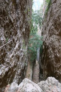 Tramo Vertical desde arriba - Canal de Ase - Canal de les Peonies - Beceite - RocJumper