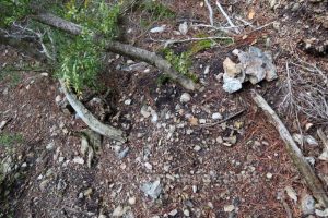 Hito de piedra - Canal de Ase - Canal de les Peonies - Beceite - RocJumper