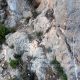 1060 Via Ferrata Bolon Integral Elda Rocjumper