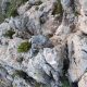 1071 Via Ferrata Bolon Integral Elda Rocjumper