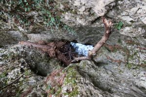 Marmita con agua - Canal de les Peonies - Beceite - RocJumper