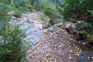 Sendero escape - Canal de les Peonies - Beceite - RocJumper