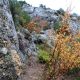 030 Via Ferrata Estrecho Arco Sierra Rocjumper