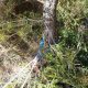 014 Barranc Pla Guardies Torrent Mal Llinars Croquis Rocjumper