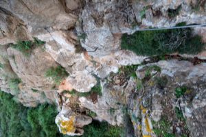 Puente de tronco - Vía Ferrata de la Porpuz - Alumbres - RocJumper