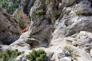 R1 - Barranco del Rincón del Olvido o Teular - Confrides - RocJumper