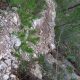 064 Via Ferrata Sierra Lugar Fortuna Rocjumper