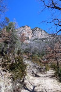 Barranco - Torrent del Cingle Roig o Cap de Balç - Sant Llorenç de Morunys - RocJumper