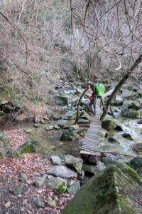 Puente - Salt de Sallent o de Gurn - Sant Privat d'en Bas - RocJumper