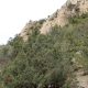 015 Via Normal Formiguera Sant Llorenc Montgai Rocjumper