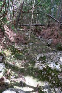 Torrente - Barranco de Palanques - Beceite - RocJumper