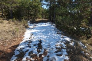 Pista - Torrent del Cingle Roig o Cap de Balç - Sant Llorenç de Morunys - RocJumper