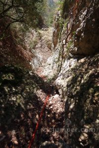 R1 - Torrent del Cingle Roig o Cap de Balç - Sant Llorenç de Morunys - RocJumper