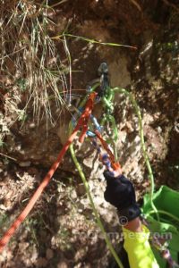 R3 - Torrent del Cingle Roig o Cap de Balç - Sant Llorenç de Morunys - RocJumper