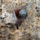 041 Via Normal Formiguera Sant Llorenc Montgai Rocjumper