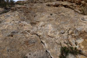 L3 - Vía Normal - Paret de la Formiguera - Sant Llorenç de Montgai - RocJumper