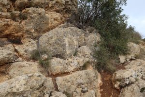 R3 - Vía Normal - Paret de la Formiguera - Sant Llorenç de Montgai - RocJumper