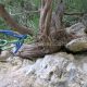 052 Barranco Palanques Beceite Rocjumper