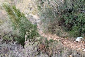 Retorno - Paret de la Formiguera - Sant Llorenç de Montgai - RocJumper