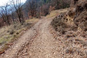 Pista Retorno - Torrent del Cingle Roig o Cap de Balç - Sant Llorenç de Morunys - RocJumper