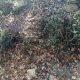 006 Torrent Milany Santa Maria Besora Rocjumper