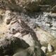 1059 Barranco 12 Cascadas Lirii Rocjumper