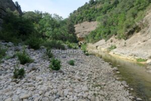 Caminar - Barranco Estrechos de Balcez - Alberuela de la Liena - RocJumper